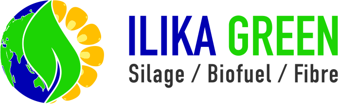 Ilika Green PNG Logo