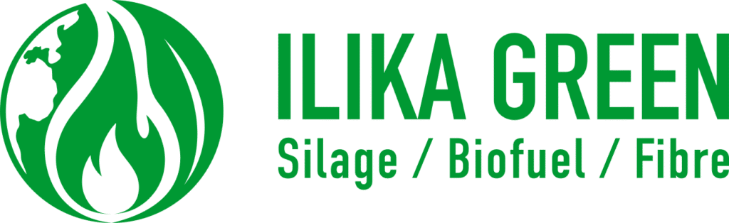Ilika Green - Green color logo